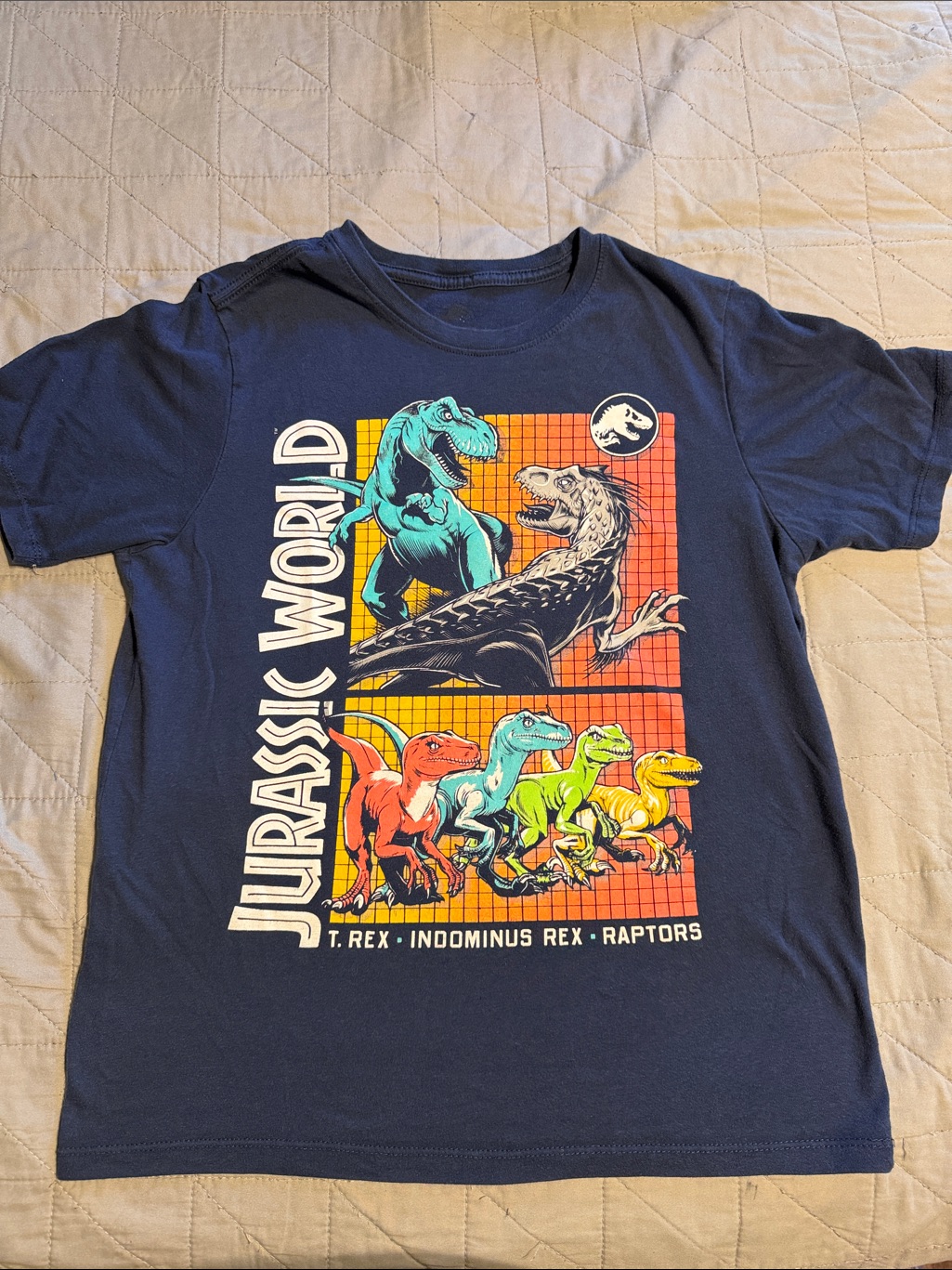 Jurassic World Kid Boy Youth Dinosaur Short Sleeve Graphic T-Shirt